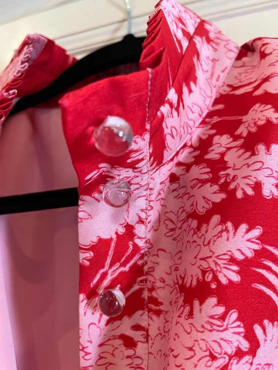 Tuckernuck Pink and Red Labeled Dress - Picture 3 of 4